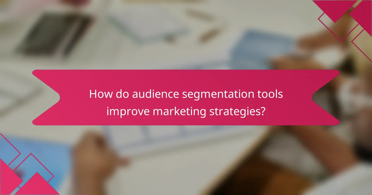 How do audience segmentation tools improve marketing strategies?