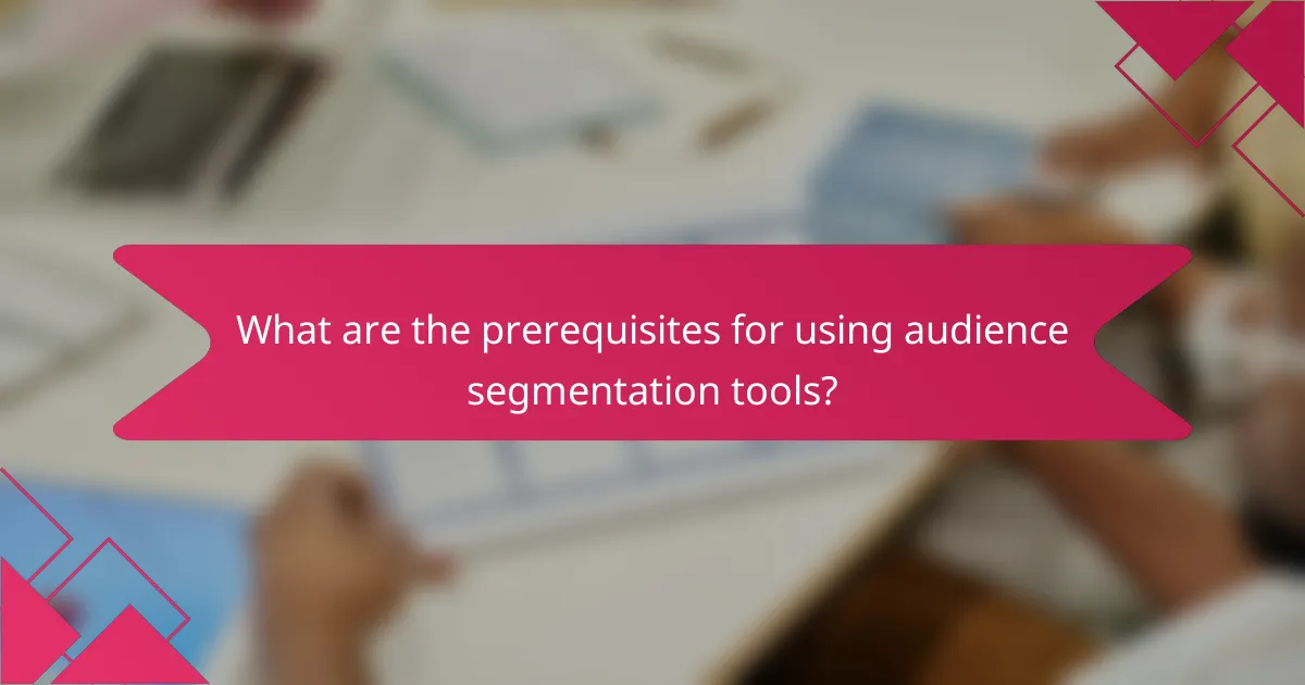 What are the prerequisites for using audience segmentation tools?